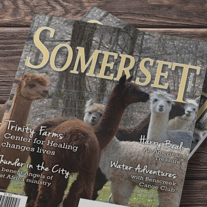 Somerset Magazine cover showing a herd of llamas