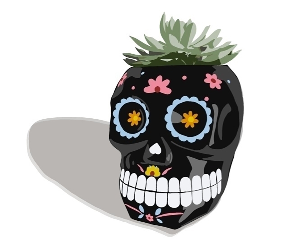 A small succulent plant in a pot shaped like a 'dia de los muertos' sugar skull